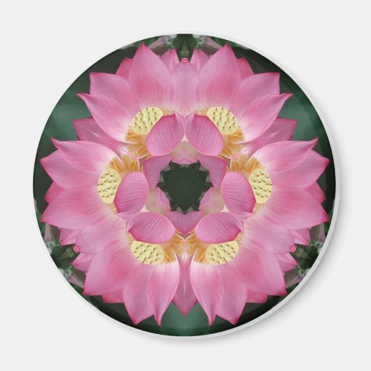 Lotus Sternexplosion Magnet (Vorne)