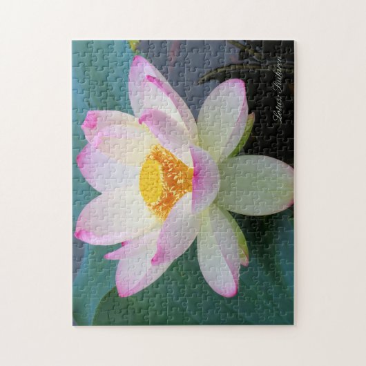 Lotus "Suihiren" [Jigsaw puzzle: 252P] ソ 2 グ ズ ル Puzzle (Vertikal)
