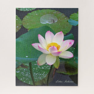 Lotus "Suihiren" [Puzzle: Suihiren: 5 グソズ Puzzle
