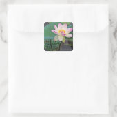 Lotus "Suihiren" Quadratischer Aufkleber (Tasche)