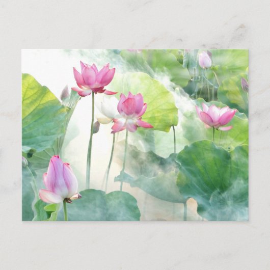 Lotus Summer, ätherisches Foto, Postkarte (Vorderseite)