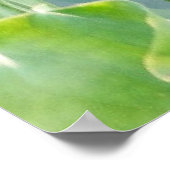 Lotus Summer, pastellrosa Wasserlaufbahn Poster (Ecke)