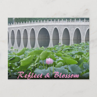 Lotus-Teich-reflektierende Brücken-Bögen Postkarte