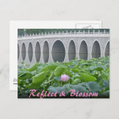 Lotus-Teich-reflektierende Brücken-Bögen Postkarte (Vorne/Hinten)