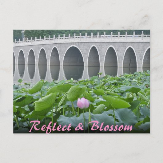 Lotus-Teich-reflektierende Brücken-Bögen Postkarte (Vorderseite)