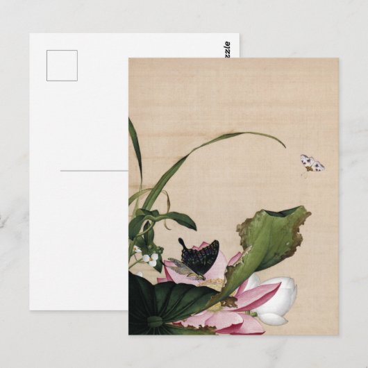 Lotus und Arrowhead Fine Art Postkarte (Vorne/Hinten)