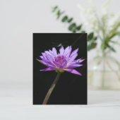 Lotus und Dragonfly Postkarte (Stehend Vorderseite)