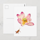 Lotus und Grasshopper Postkarte (Vorne/Hinten)