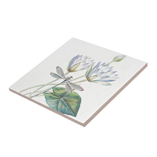 Lotus und Libelle Fliese (Seite)