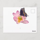 Lotus und Schmetterling Postkarte (Rückseite)