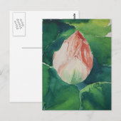 Lotus vival postkarte (Vorne/Hinten)