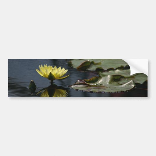 Lotus Wasserlilie Autoaufkleber (Vorne)