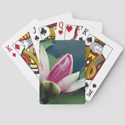 Lotus Water Lilly Playing Cards Spielkarten (Rückseite)