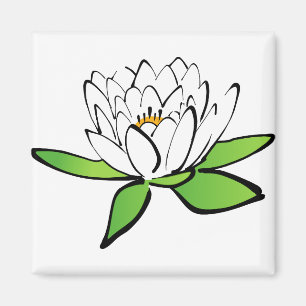 Lotus Water Lily Blume Bloom Blossom Magnet