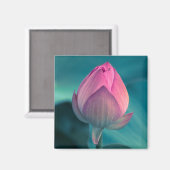 Lotus Water Lily Blume Magnet (Vorderseite/Rückseite)