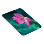 Lotus Water Lily Blume Magnet (Rechte Seite)