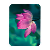 Lotus Water Lily Blume Magnet (Vertikal)