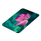 Lotus Water Lily Blume Magnet (Linke Seite)