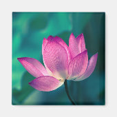 Lotus Water Lily Blume Magnet (Vorne)