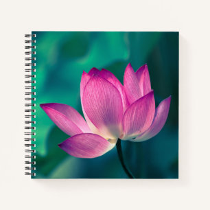 Lotus Water Lily Blume Notizblock
