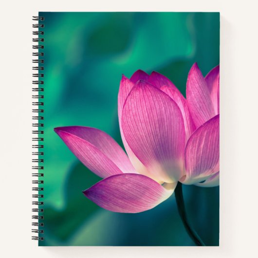 Lotus Water Lily Blume Notizblock (Vorderseite)