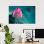 Lotus Water Lily Blume Poster (Heimbüro)