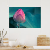 Lotus Water Lily Blume Poster (Küche)