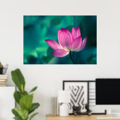 Lotus Water Lily Blume Poster (Heimbüro)