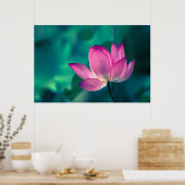 Lotus Water Lily Blume Poster (Küche)