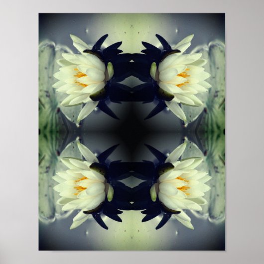 Lotus Water Livio Blume Mirror Abstrakte Kunst Poster (Vorne)