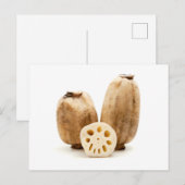 Lotus-Wurzeln Postkarte (Vorne/Hinten)