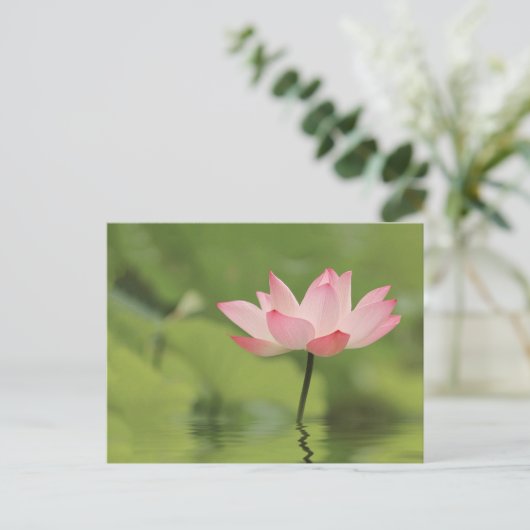 Lotus Zen Postkarte (Stehend Vorderseite)