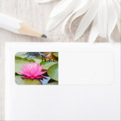 Lotusadressen (Insitu)