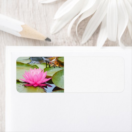 Lotusadressen (Insitu)