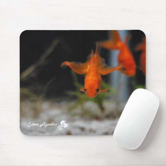 Lotusfantail-orange Goldfisch Mousepad (Mit Mouse)