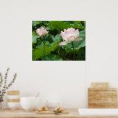 Lotusse Poster (Küche)