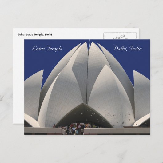 Lotusvögel Postkarte (Vorne/Hinten)