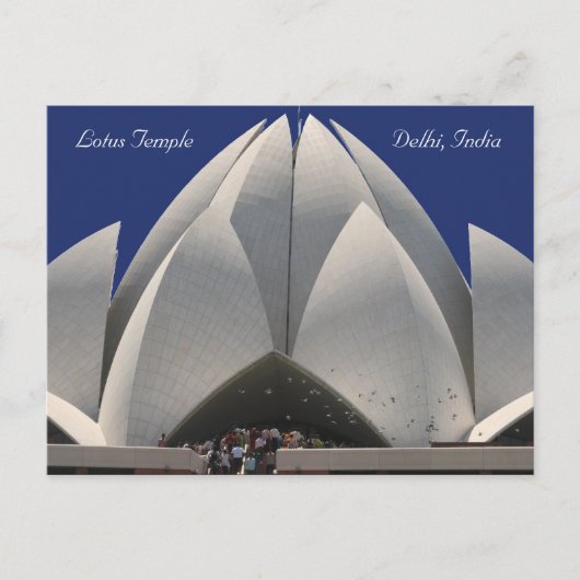 Lotusvögel Postkarte (Vorderseite)