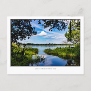 Lou Lake Postkarte