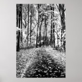 Loud Whisper Poster (Vorne)