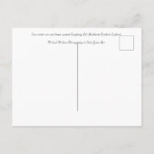 Loughrigg Fell Ambleside Postkarte (Rückseite)