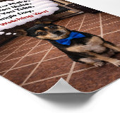 "Louie beobachtet dich" Poster (Ecke)