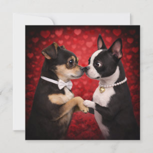 Louie & Luna wünschen Ihnen einen glücklichen Vale Karte