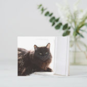 Louie Postkarte (Stehend Vorderseite)