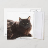 Louie Postkarte (Vorne/Hinten)