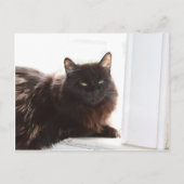 Louie Postkarte (Vorderseite)