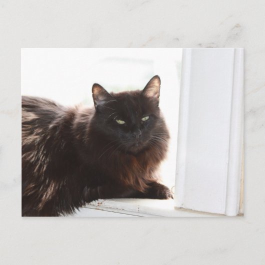 Louie Postkarte (Vorderseite)