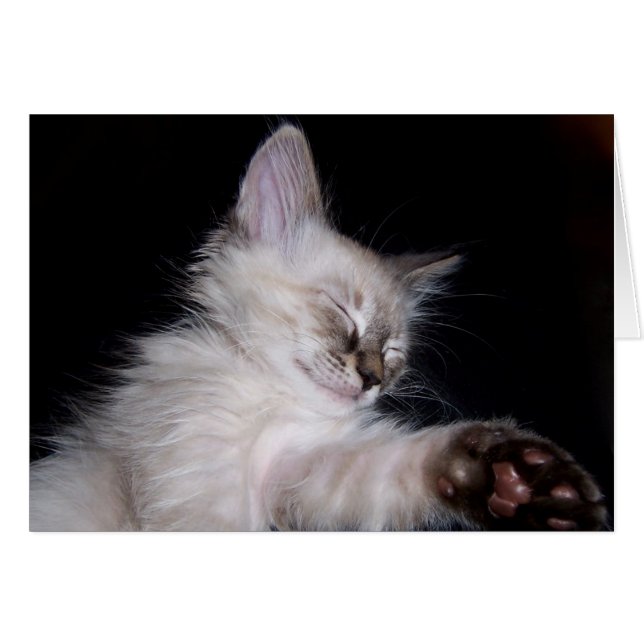 Louies schläfriges Schlummer-Lächeln (Vorderseite (Horizontal))