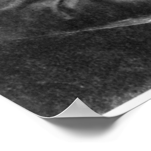 Louis Pasteur Poster (Ecke)