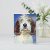 Louis,""" Petit Basset Griffon de Vendeen Postkarte (Stehend Vorderseite)